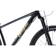 Bicicleta MTB Pegas DRUMET PRO M 29'' GRI CARBON