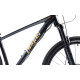 Bicicleta MTB Pegas DRUMET PRO M 29'' GRI CARBON