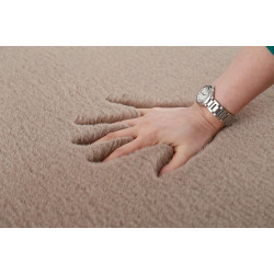 Covor Heinner Shaggy soft blanita  Maro 160x230 cm