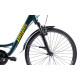 Bicicleta Oras Pegas Comoda Verde Pin ( AL) Bicicleta Oras Pegas Comoda Verde Pin ( AL)