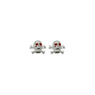 CAPAC VALVA CRANIU&OASE NMX, 2buc, material Plastic, pentru valva auto, CROM