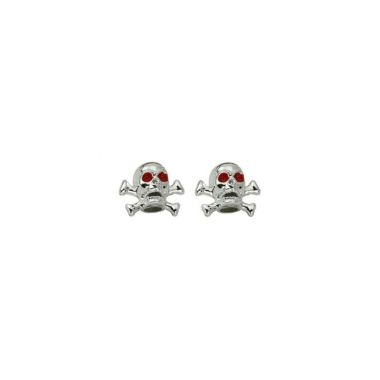 CAPAC VALVA CRANIU&OASE NMX, 2buc, material Plastic, pentru valva auto, CROM CAPAC VALVA CRANIU&OASE NMX, 2buc, material Plastic, pentru valva auto, CROM