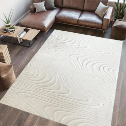 Covor, model in relief,Wave,120x160 CRM