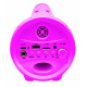 BOXA CU MICROFON SI LUMINI, BARBIE BOXA CU MICROFON SI LUMINI, BARBIE