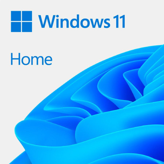 Licenta OEM Microsoft Windows 11 Home 64 bit English