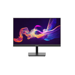 MONITOR 23.8 INCH FHD 100Hz IPS