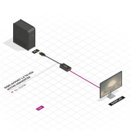 Adaptor Activ Lindy LY-41006, DisplayPort to VGA, negru