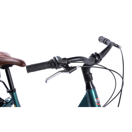 Bicicleta Oras Pegas Comoda Verde Pin ( AL) Bicicleta Oras Pegas Comoda Verde Pin ( AL)