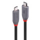 Cablu Lindy 0.8m USB4 Type C 40Gbps Anth Cablu Lindy 0.8m USB4 Type C 40Gbps Anth