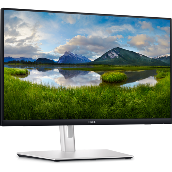 DL MONITOR 24