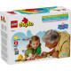 EXCURSIE CU CORTUL, LEGO 10452 EXCURSIE CU CORTUL, LEGO 10452