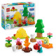 EXCURSIE CU CORTUL, LEGO 10452 EXCURSIE CU CORTUL, LEGO 10452