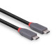 Cablu Lindy 0.8m USB4 Type C 40Gbps Anth Cablu Lindy 0.8m USB4 Type C 40Gbps Anth