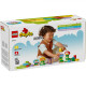 GRADINA SI FLORI CREATIVE, LEGO 10444 GRADINA SI FLORI CREATIVE, LEGO 10444