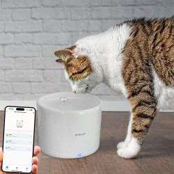 Tellur Dispenser De apa Smart pentru animale de companie, capacitate rezervor 2L, alb