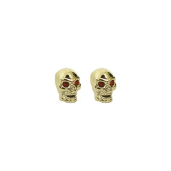 CAPACE VALVA CRANIU VC2912, 2buc, material Plastic, pentru valva auto, AURIU