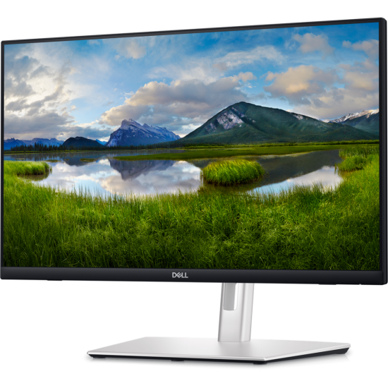 DL MONITOR 24