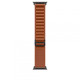 APPLE WATCH 49 TERRA CTTA B TI ALP S-ZML APPLE WATCH 49 TERRA CTTA B TI ALP S-ZML
