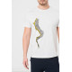 TRICOU CASUAL DRACON BARBATI LIGHT GRAY-XXL TRICOU CASUAL DRACON BARBATI LIGHT GRAY-XXL