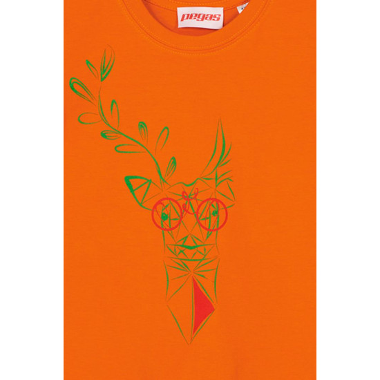 TRICOU  CERB FAMILIE COPII ORANGE-4